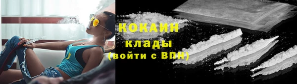 мяу мяу кристалл Иннополис